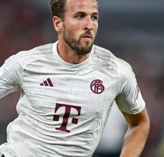 他们对于定 他们对于定